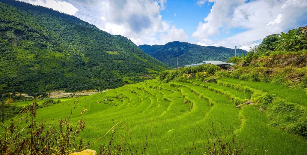 Tour Bình Liêu Quảng Ninh 2 ngày 1 đêm - Chinh phục sống lưng khủng long